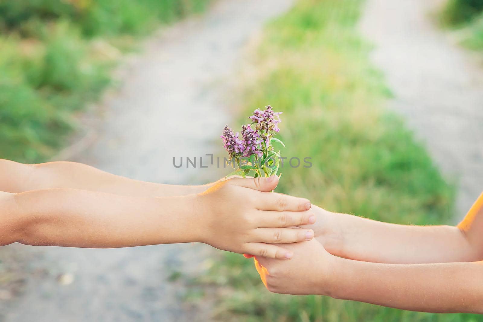 children hold hands together with flowers. Selective focus. by yanadjana