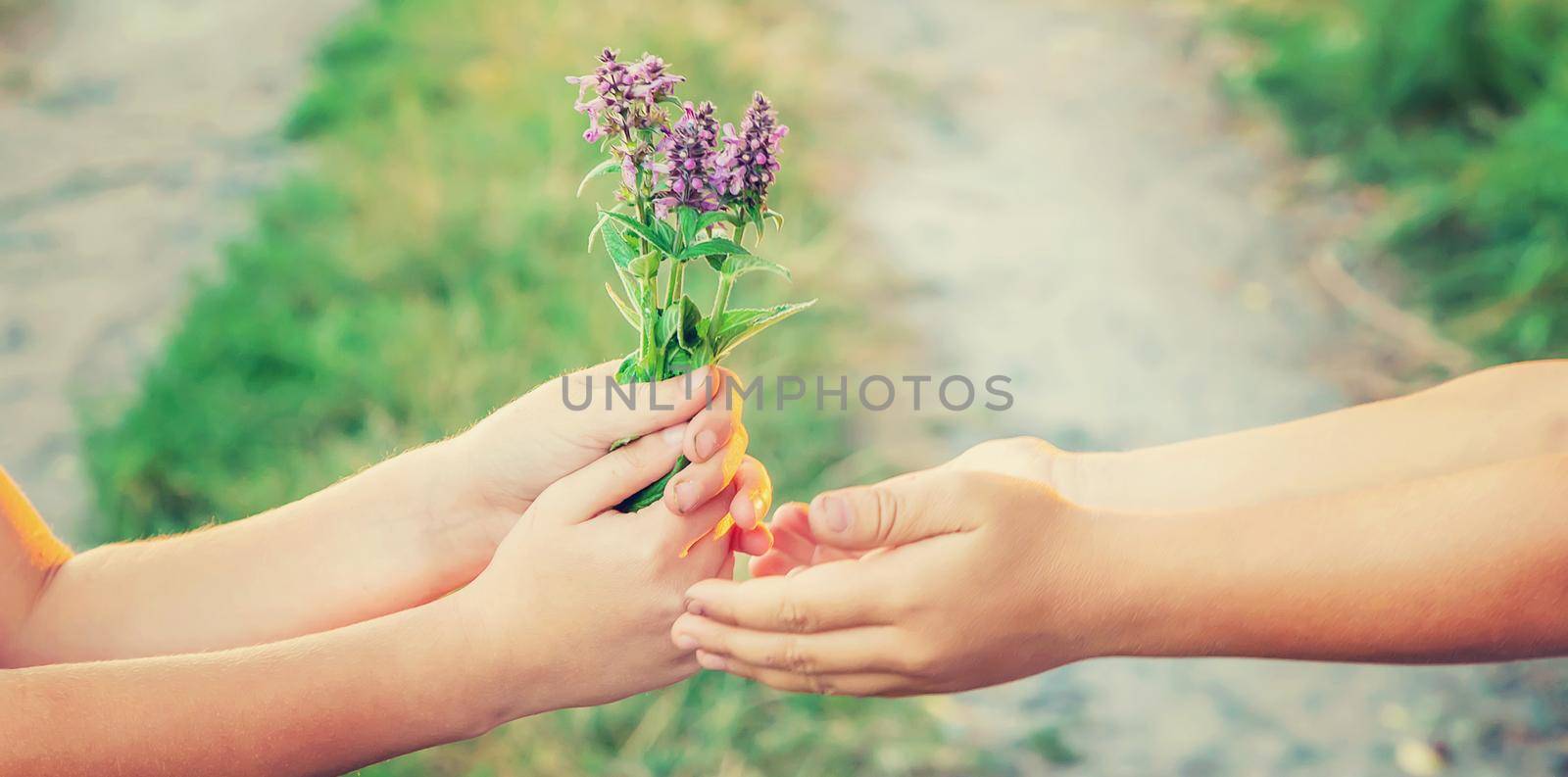 children hold hands together with flowers. Selective focus. nature.