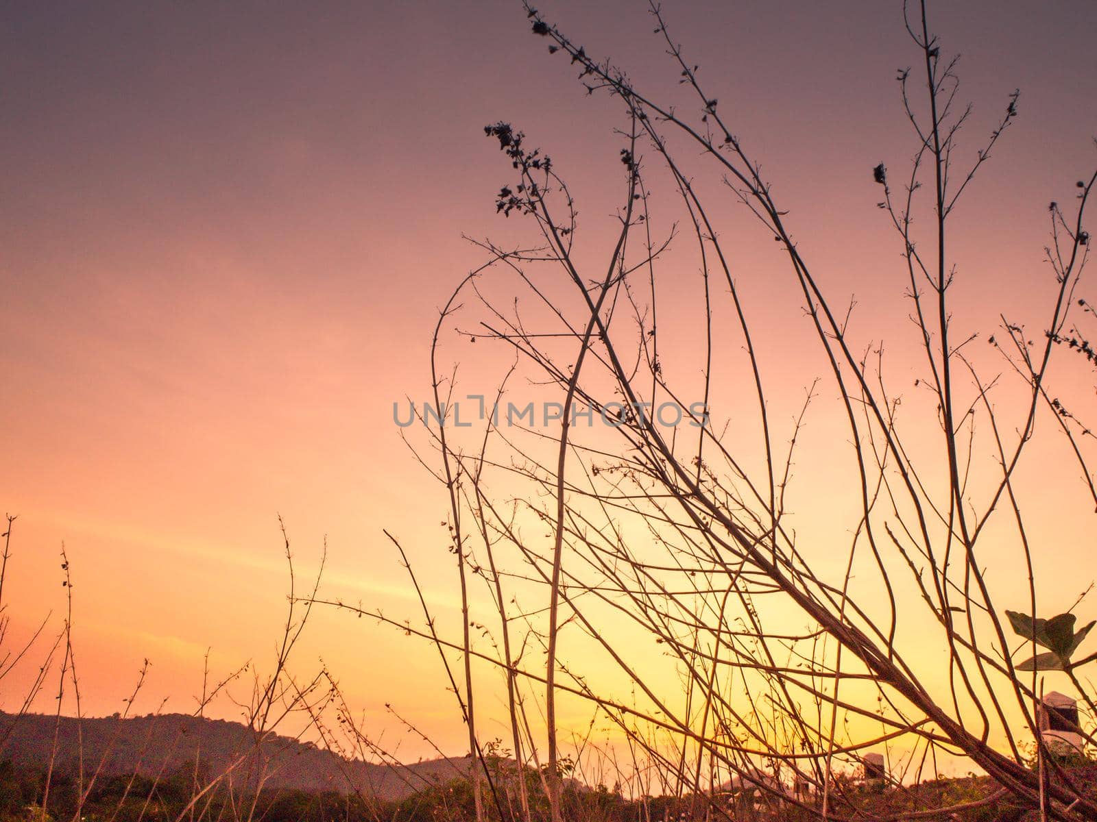 Atmospheric landscape with silhouettes of mountains, hills, forest at sunset