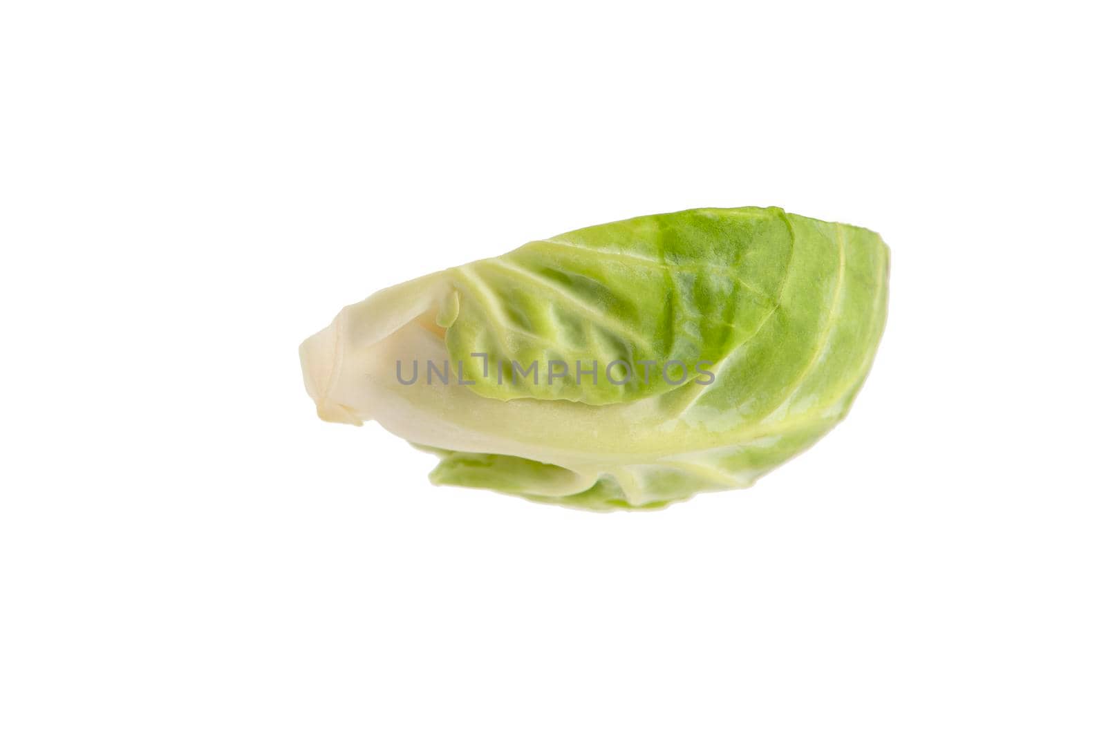 Brussels sprouts on a white background. Fresh small Brussels sprouts, cut in half, Brussels sprouts texture.