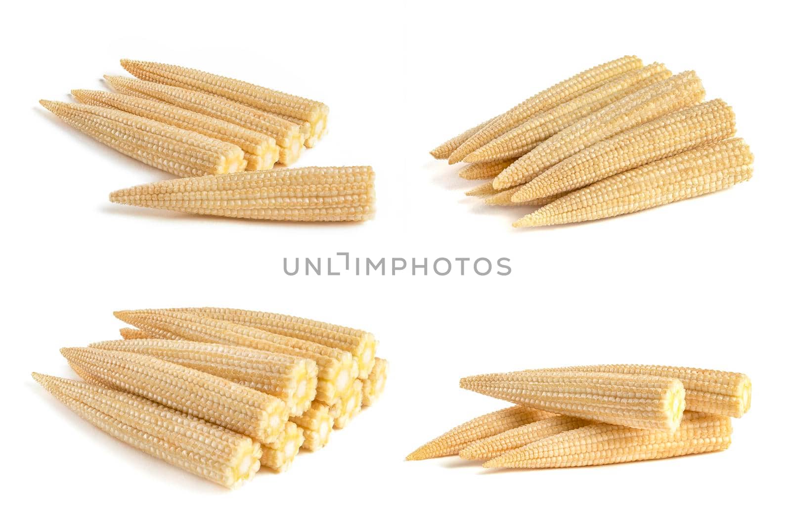 Set of stacks of corn on a white background. Baby corn isolated on white uniform background, clipping path, full depth of field