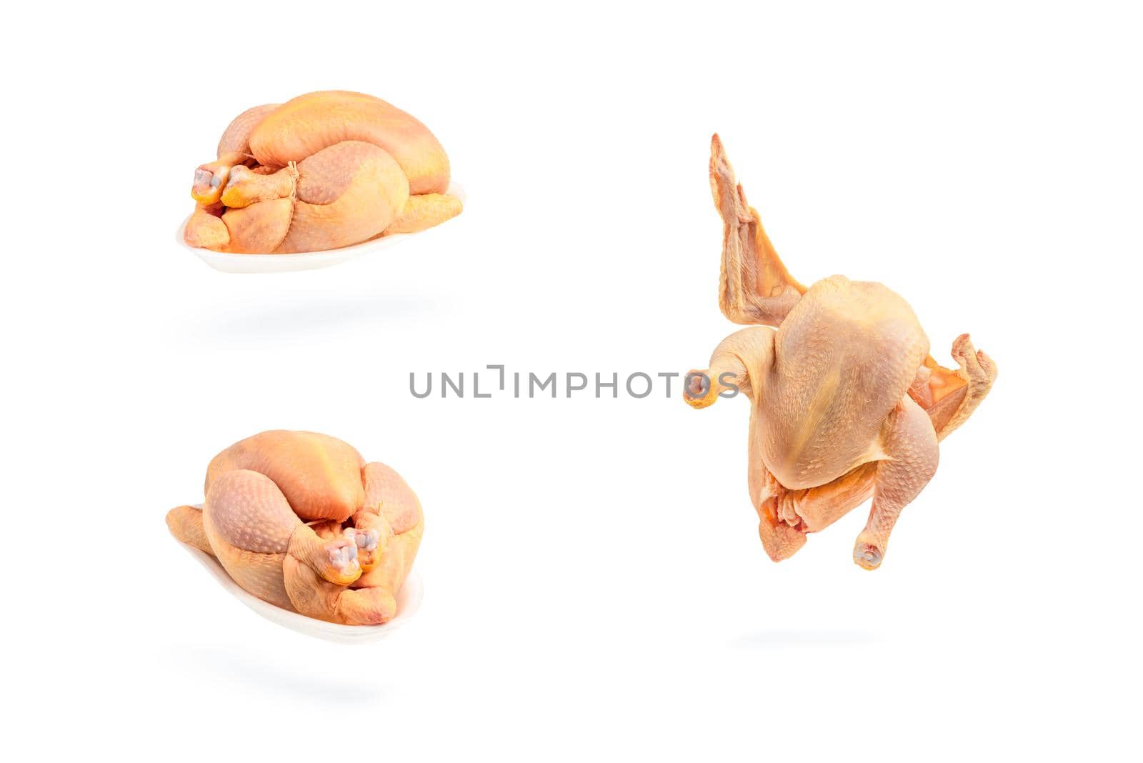 Chicken, raw, walking, casting a shadow, wings spread. Raw chicken isolated on white background. Corn chicken.