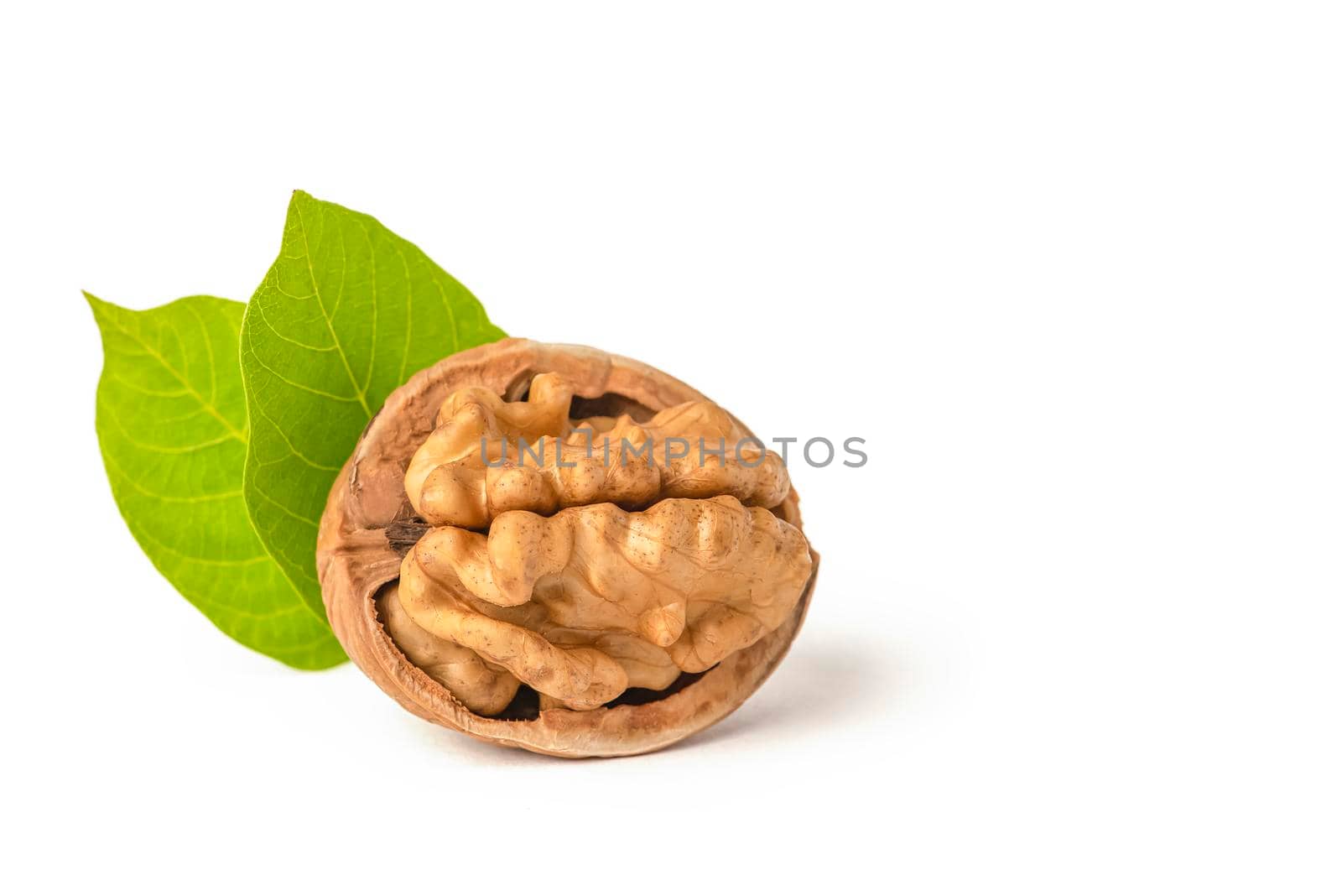 Walnut fruits lie on a white isolated background. Peeled walnut and green leaves with shadow. White isolate for design and project insertion.