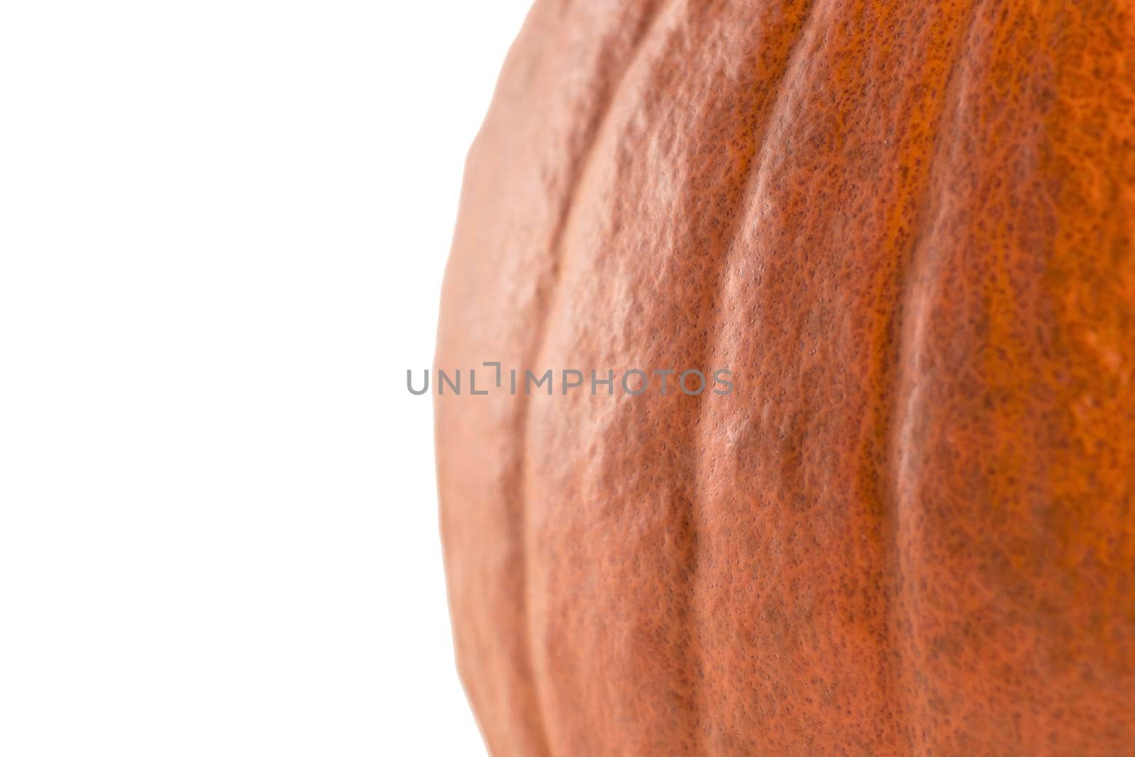 Pumpkin on a white background. Isolated halloween pumpkin isolate on white to insert into your project or design. One orange pumpkin casts a shadow.