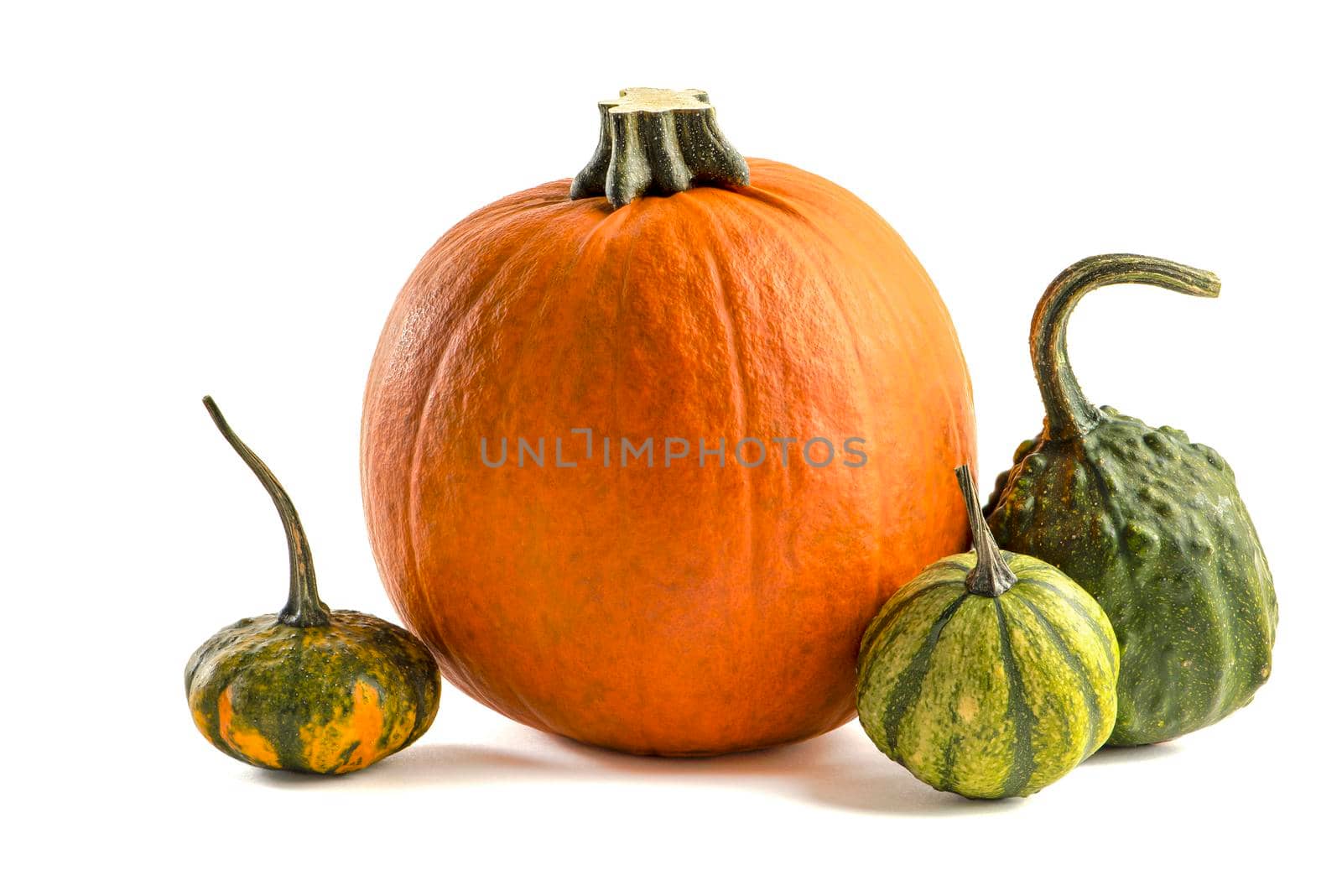 Pumpkin on a white background. Decorative pumpkin isolated halloween isolate on white to insert into your project or design. Three orange pumpkins stacked in a pile cast a shadow.