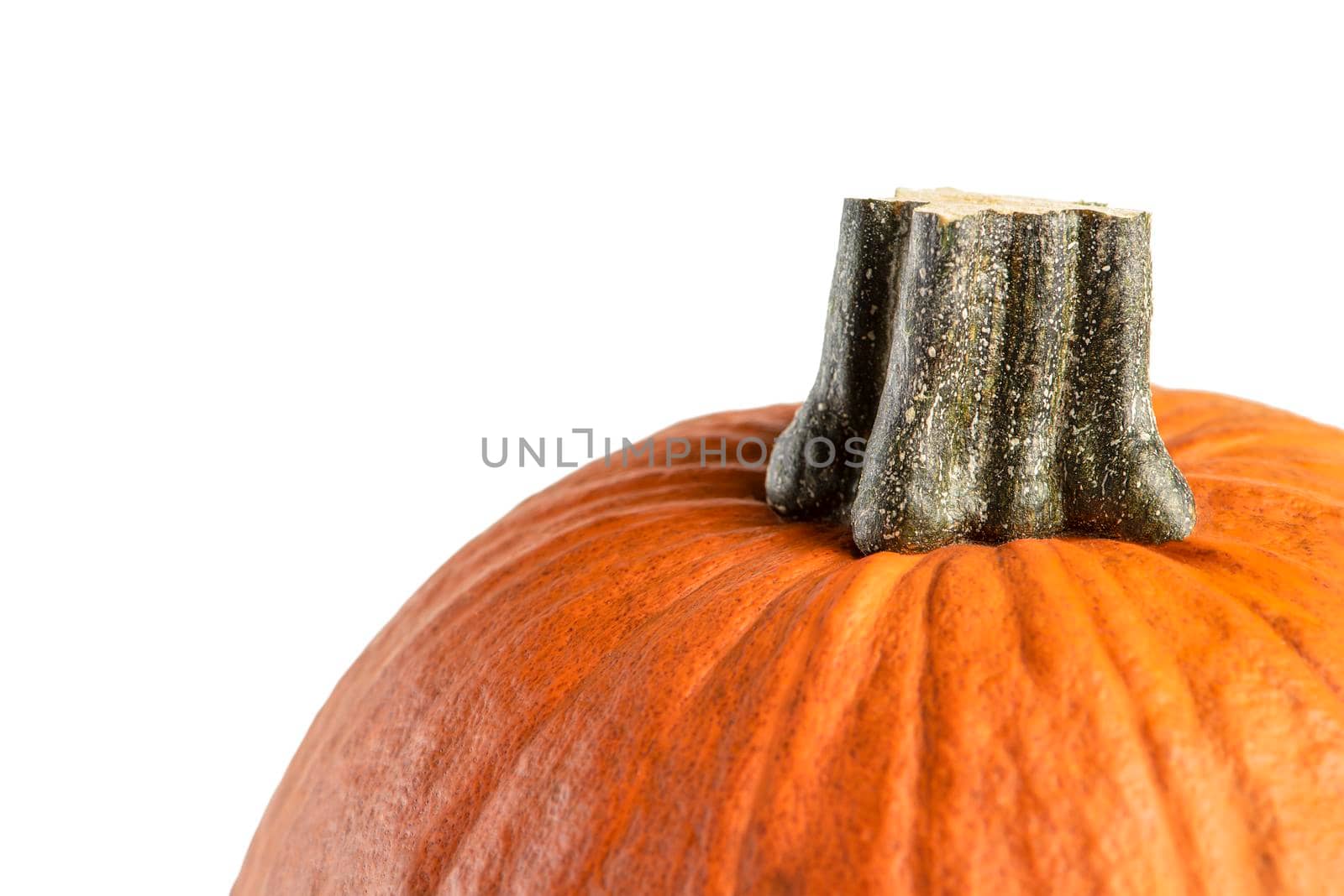 Pumpkin on a white background. Isolated halloween pumpkin isolate on white to insert into your project or design. One orange pumpkin casts a shadow.