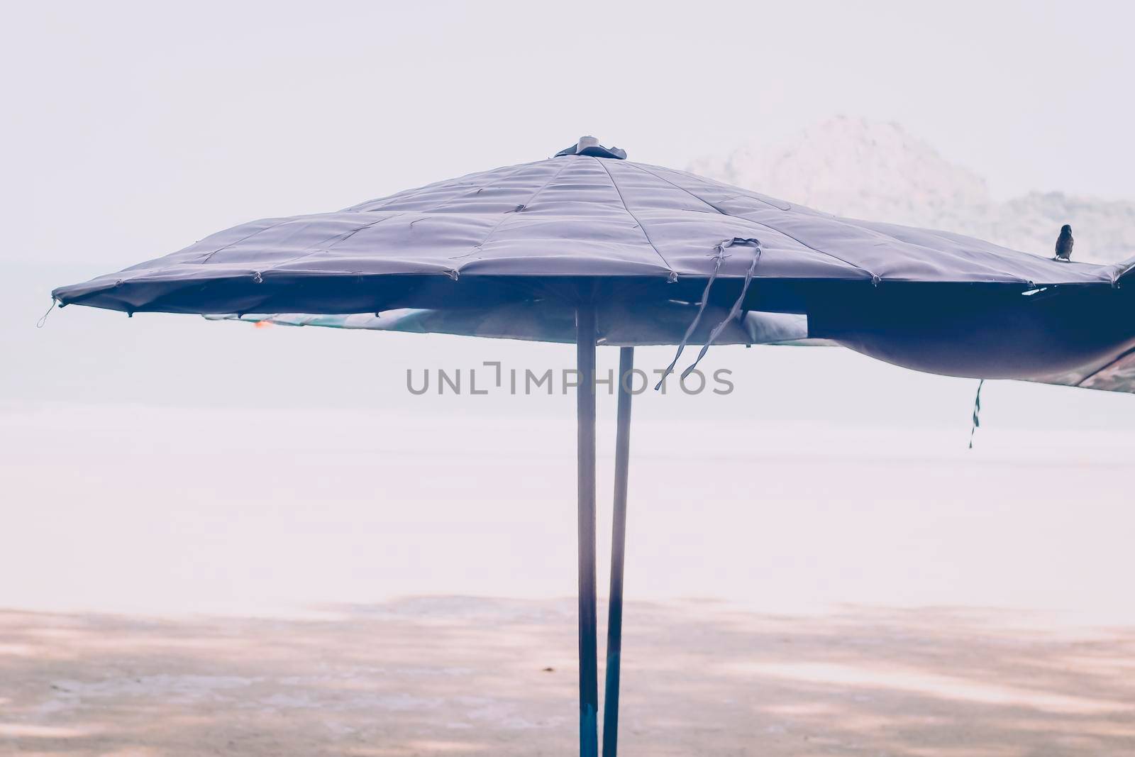 Sun umbrellas on a beach, with a view of a horizon line over the sea, sky, a symbol for holiday vacation. Summer time background by Petrichor