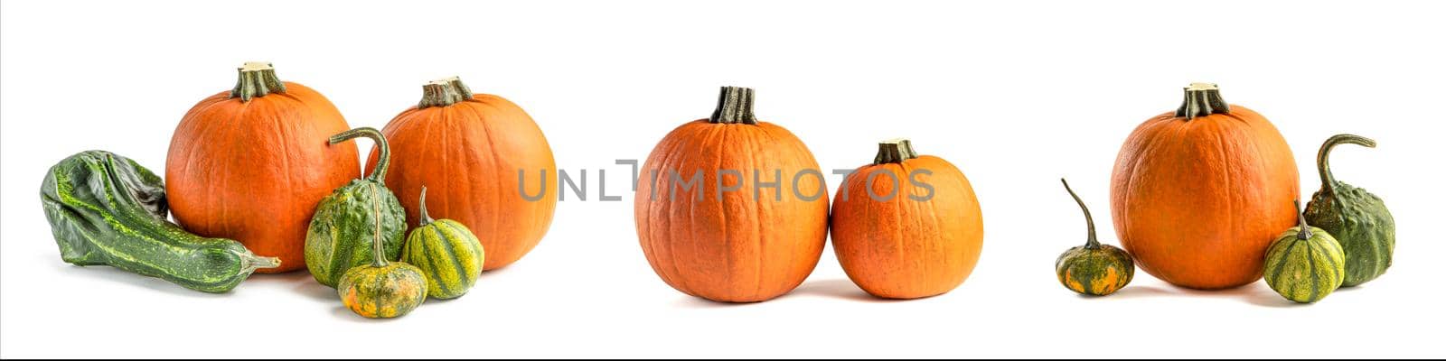 Autumn set of pumpkins isolated on white background for Halloween decoration. Set of pumpkins of different colors and shapes, green and orange.
