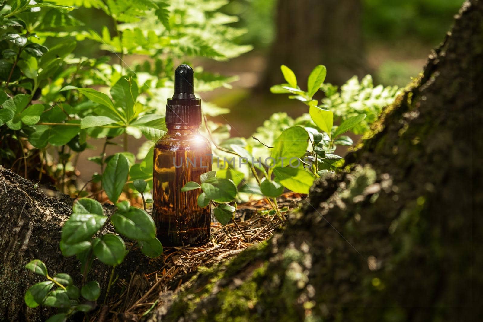 Glass brown cosmetic containers with pipette are located on natural forest background. Natural organic cosmetics concept. Selective focus.