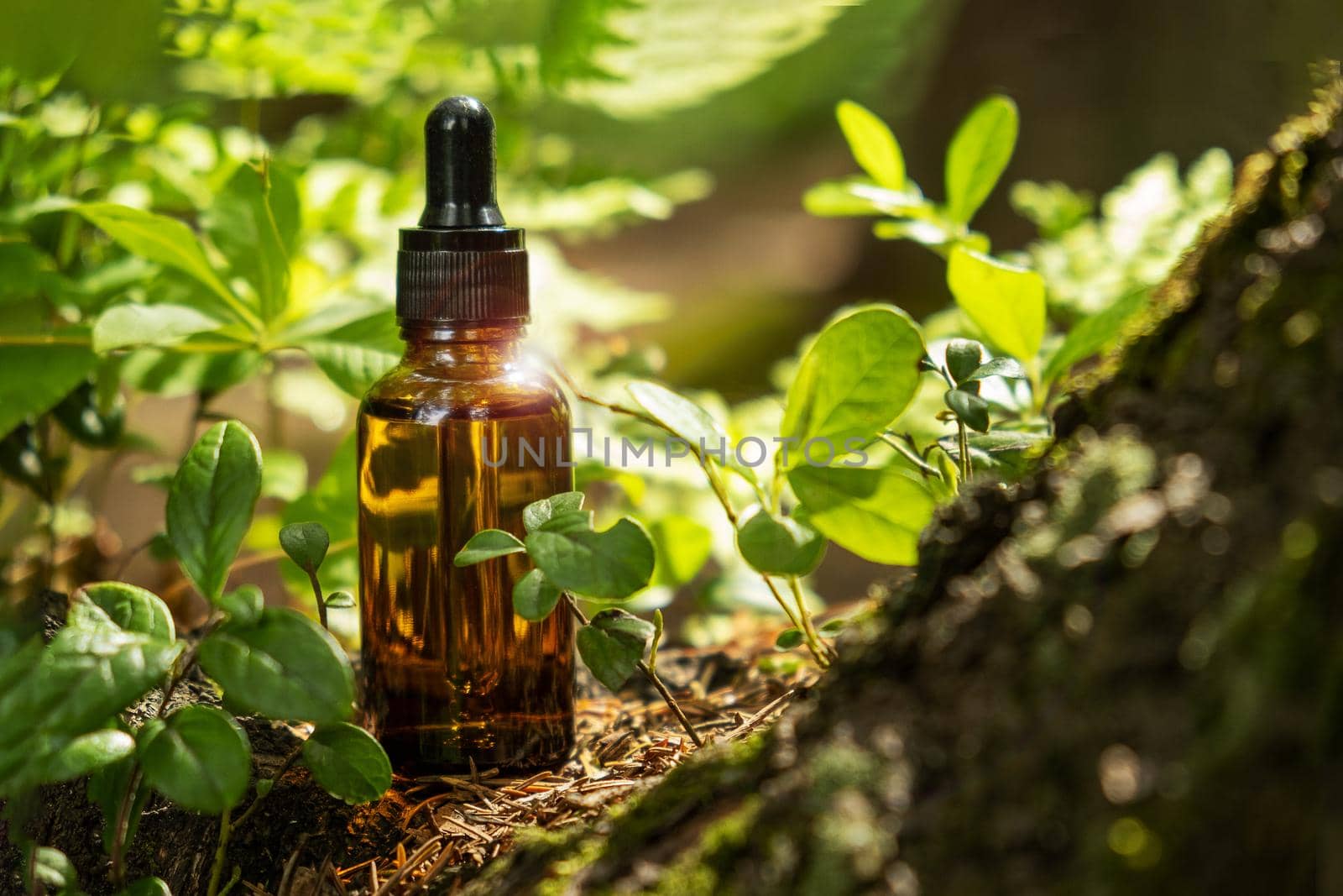 Glass brown cosmetic containers with pipette are located on natural forest background. Natural organic cosmetics concept. Selective focus.