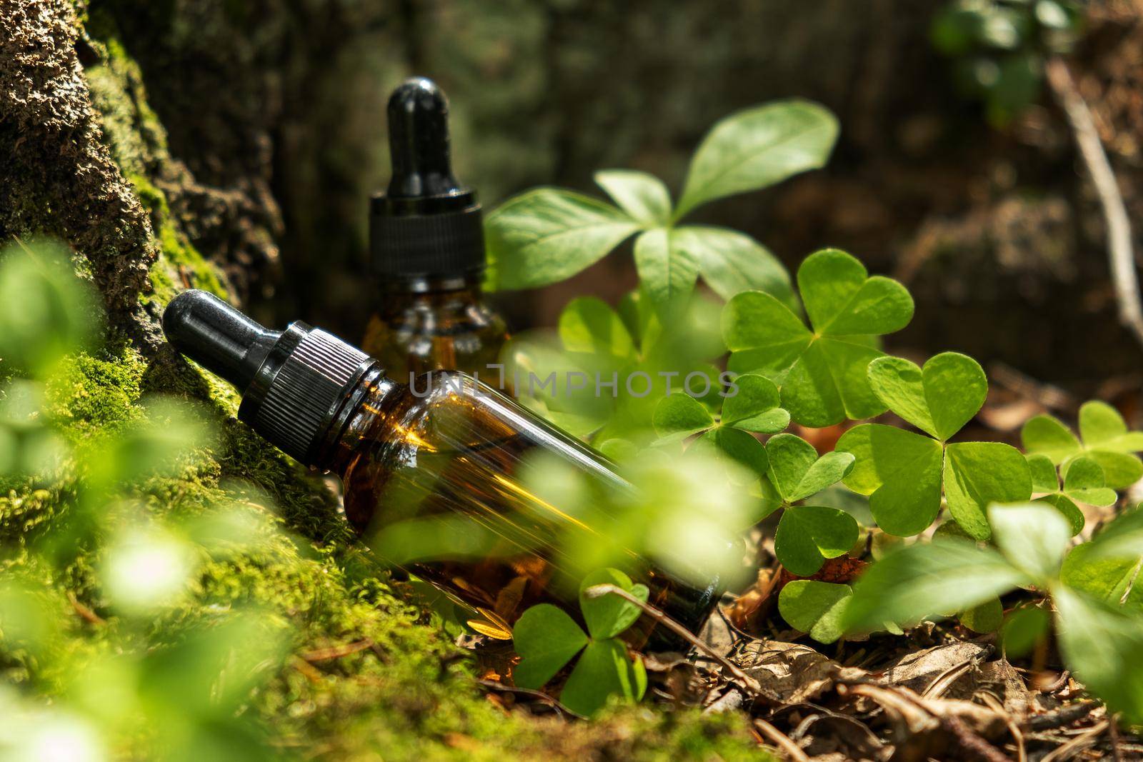 Two glass brown cosmetic containers with pipette are placed against backdrop of a natural forest. Concept of natural organic cosmetics, skin health. Selective focus..