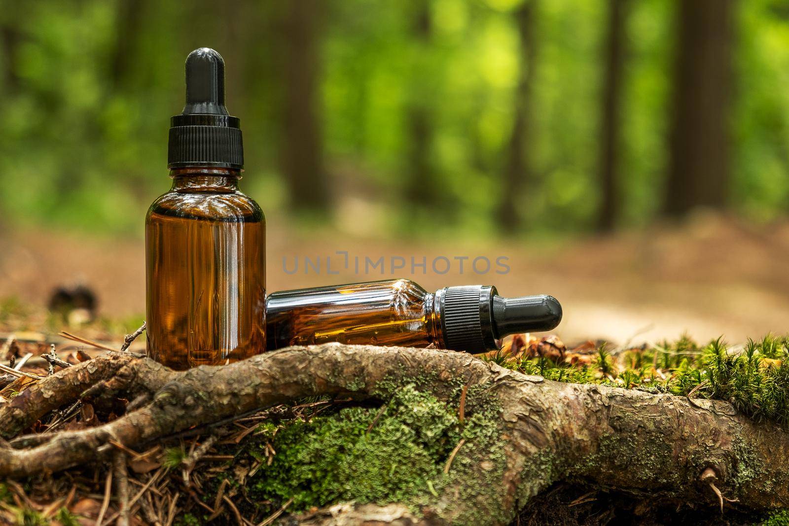 Two glass brown cosmetic containers with pipette are placed against backdrop of a natural forest. Concept of natural organic cosmetics, skin health. Selective focus..