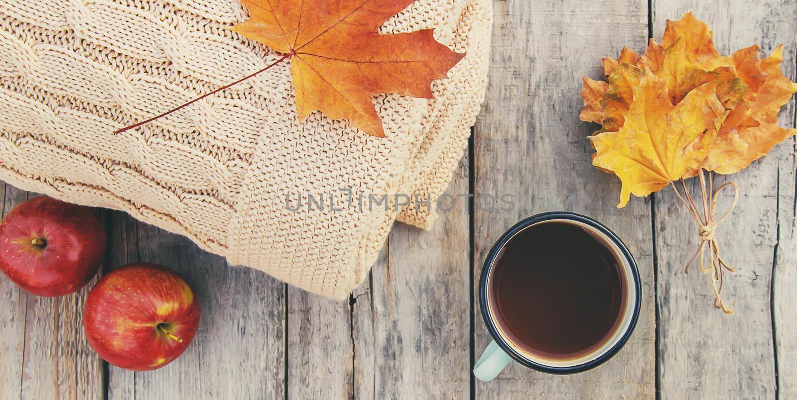 Beautiful autumn background. Hello, Autumn. Selective focus. by yanadjana