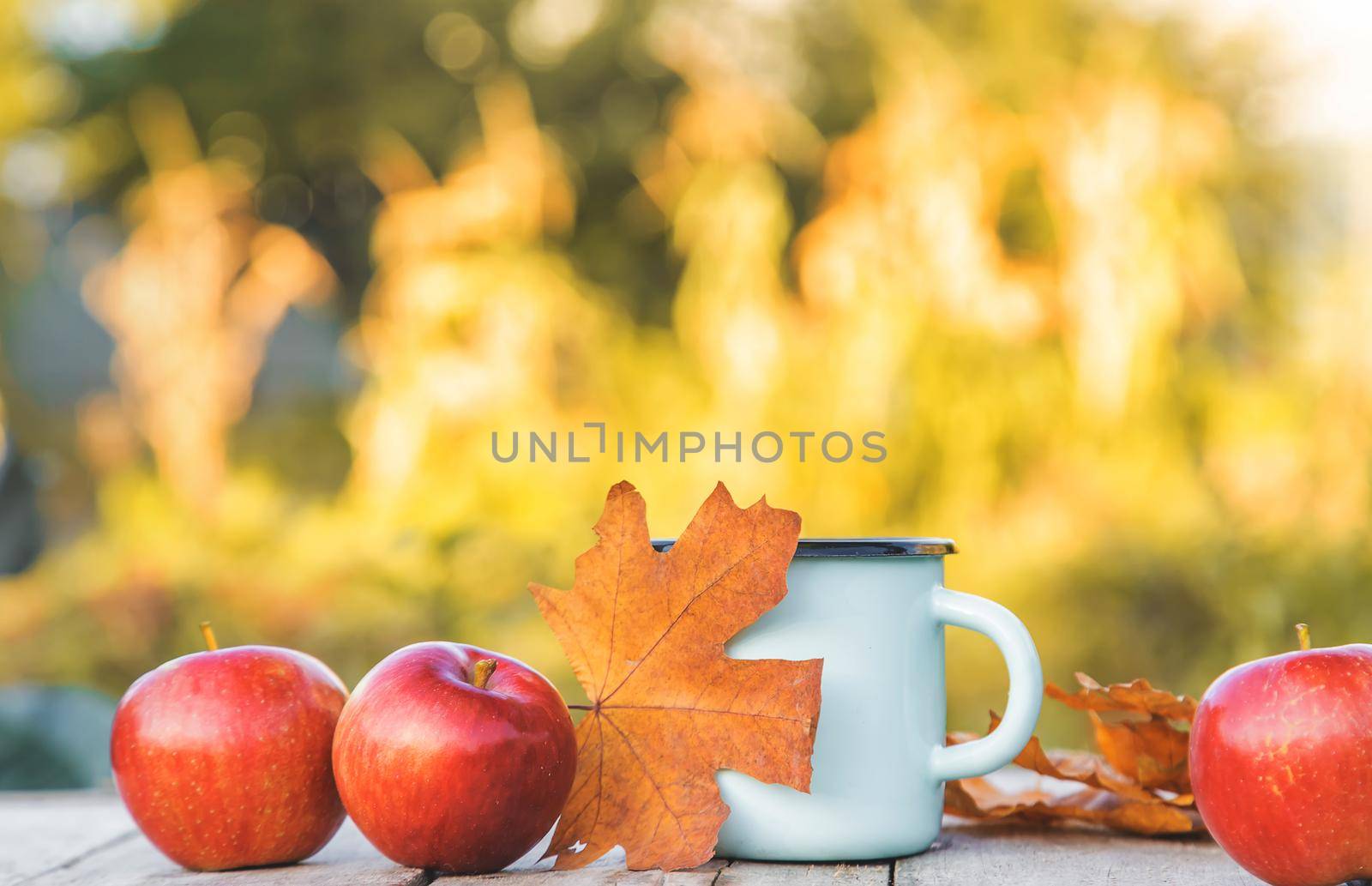 Beautiful autumn background. Hello, Autumn. Selective focus. by yanadjana