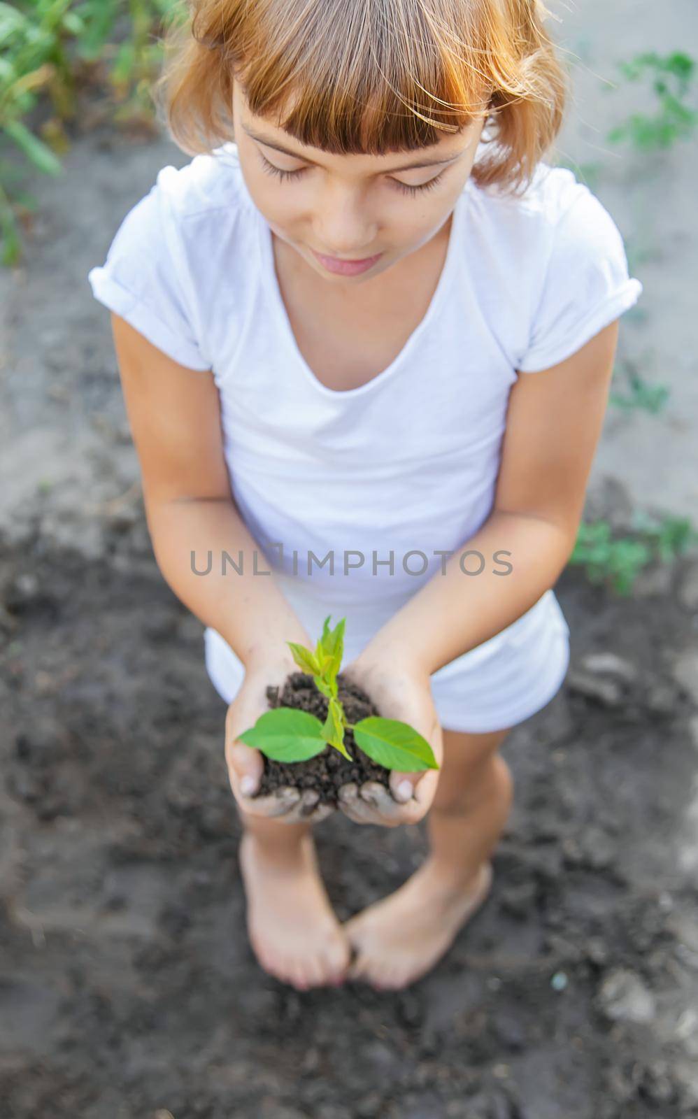 A child in the garden plants a plant. Selective focus. by yanadjana