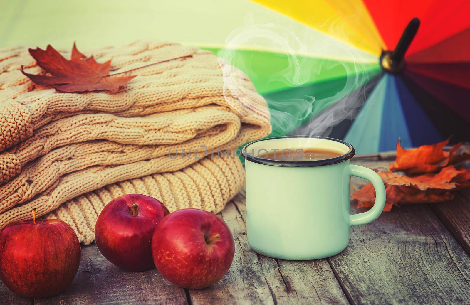 Beautiful autumn background. Hello, Autumn Selective focus nature