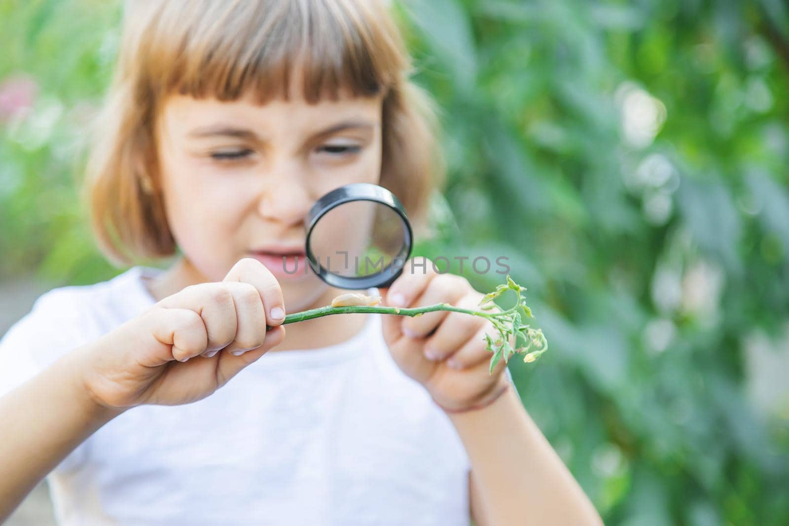 Child with a magnifying glass in his hands. Selective focus.