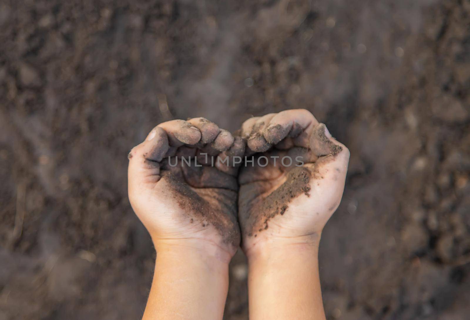 Child in the garden with the earth in his hands. Selective focus. nature.