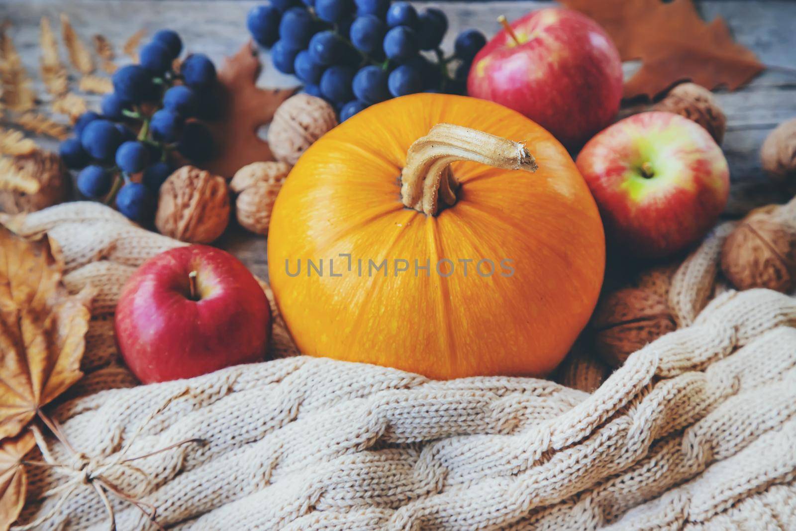 Autumn background with pumpkin. Thanksgiving Day. Selective focus. nature.