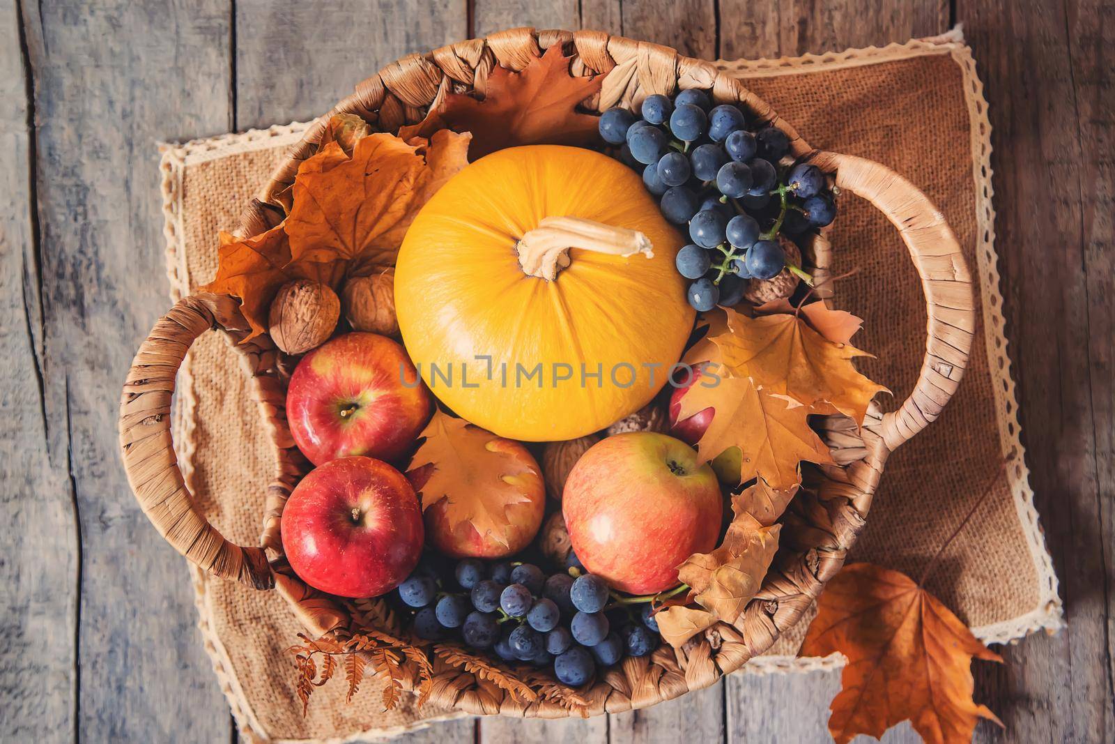 Autumn background with pumpkin. Thanksgiving Day. Selective focus. by yanadjana