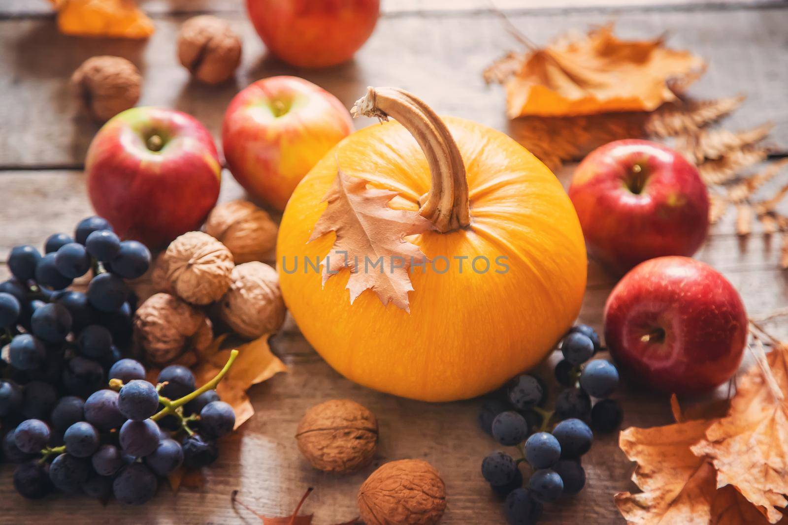 Autumn background with pumpkin. Thanksgiving Day. Selective focus. by yanadjana