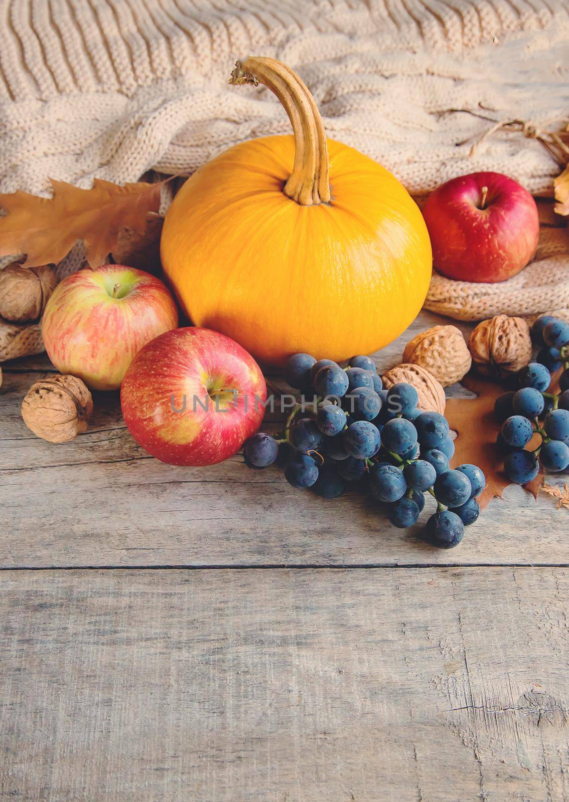 Autumn background with pumpkin. Thanksgiving Day. Selective focus. by yanadjana