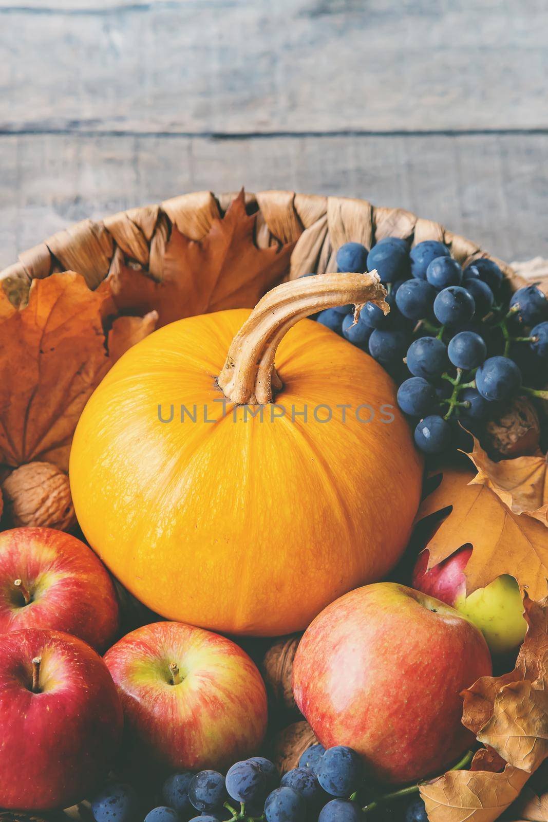 Autumn background with pumpkin. Thanksgiving Day. Selective focus. by yanadjana