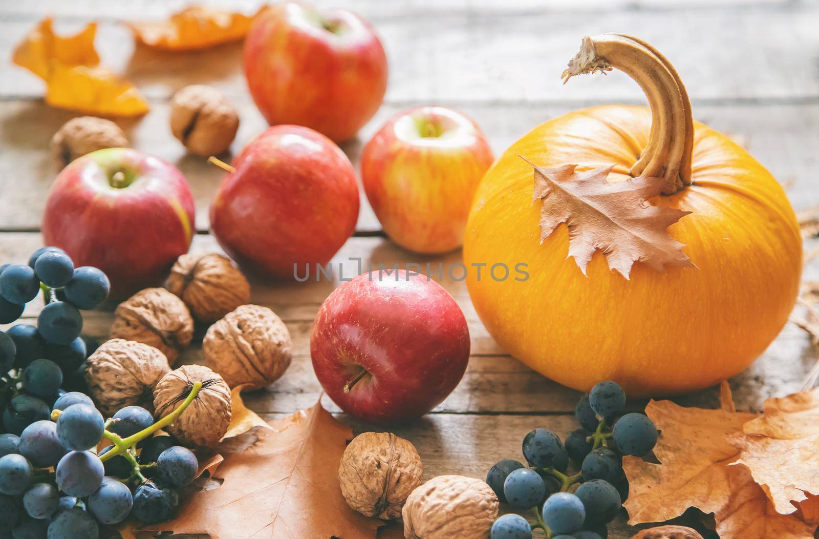 Autumn background with pumpkin. Thanksgiving Day. Selective focus. by yanadjana