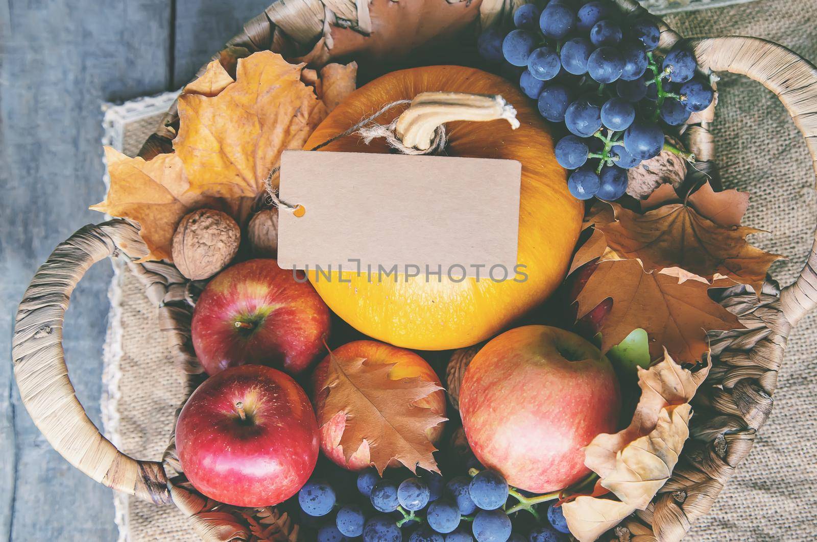 Autumn background with pumpkin. Thanksgiving Day. Selective focus. nature.