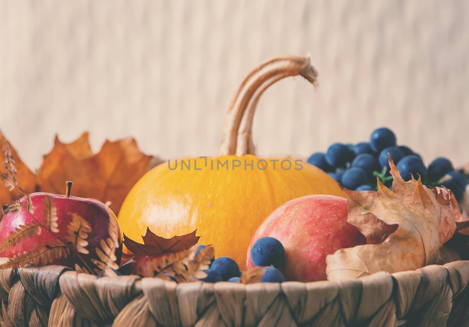 Autumn background with pumpkin. Thanksgiving Day. Selective focus. by yanadjana