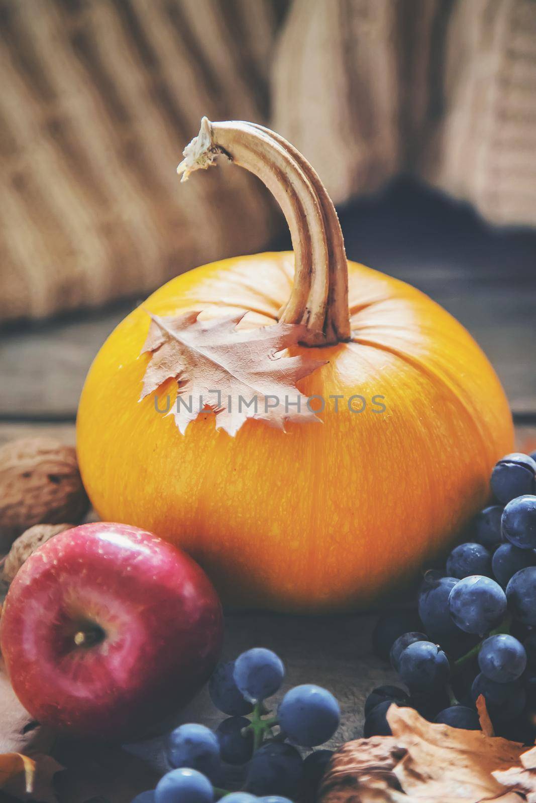 Autumn background with pumpkin. Thanksgiving Day. Selective focus. by yanadjana