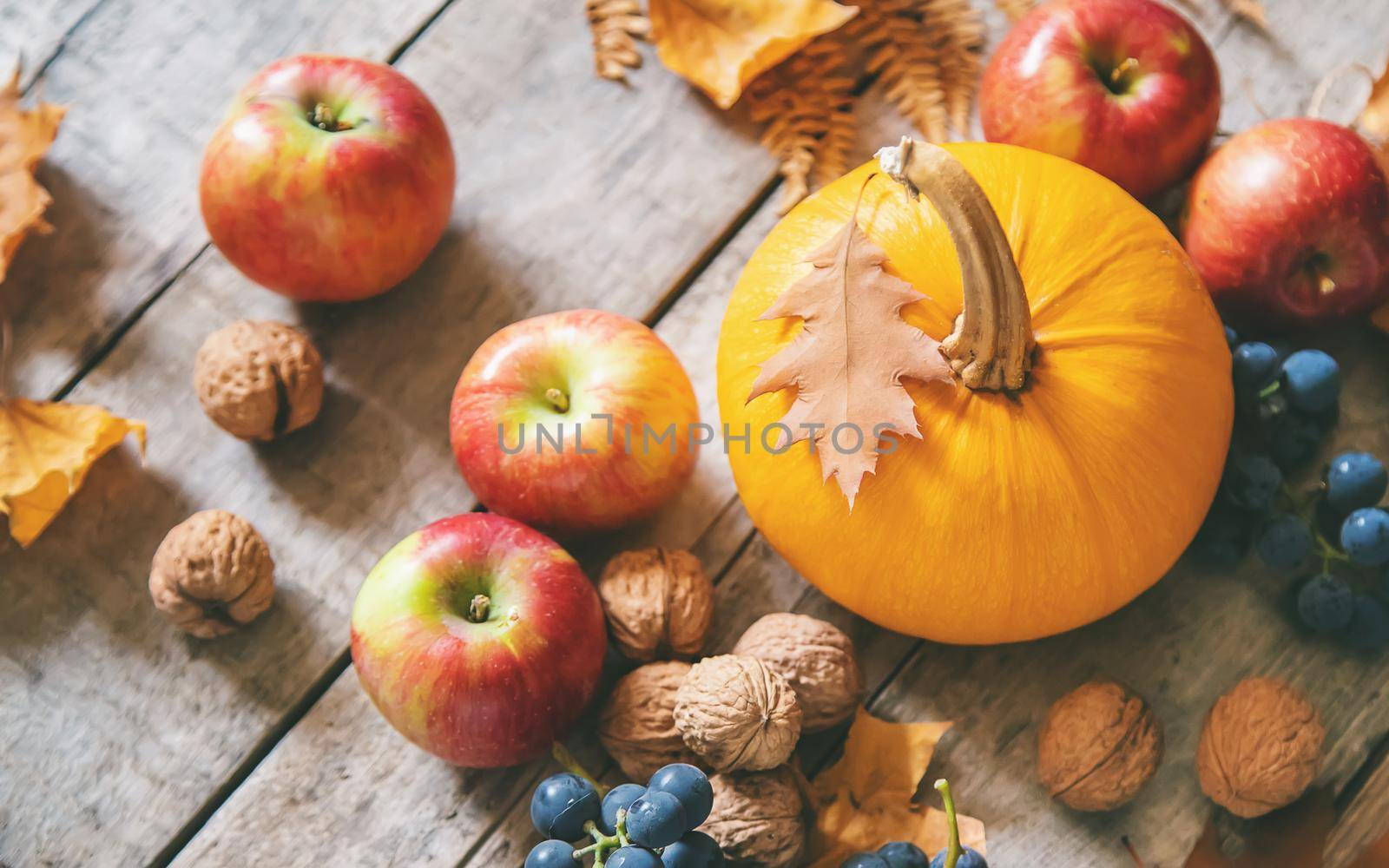 Autumn background with pumpkin. Thanksgiving Day. Selective focus. nature.