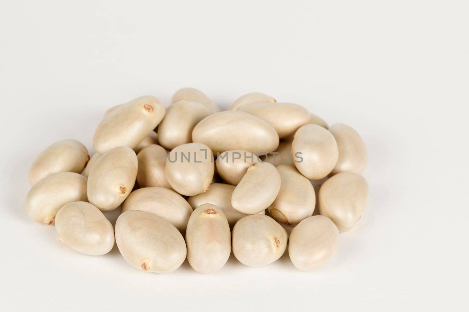 Pile of Jackfruit seeds on a white background
