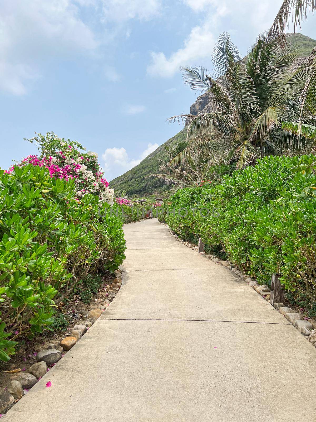 Cement trails with green spaces in the resort