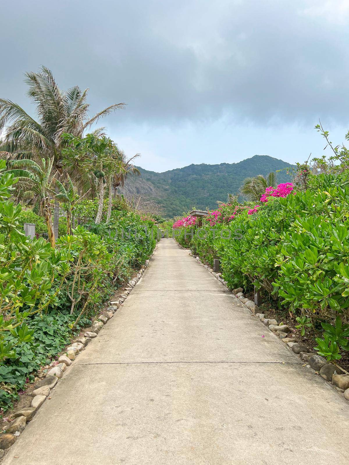 Villa path way at the tropical resort by makidotvn