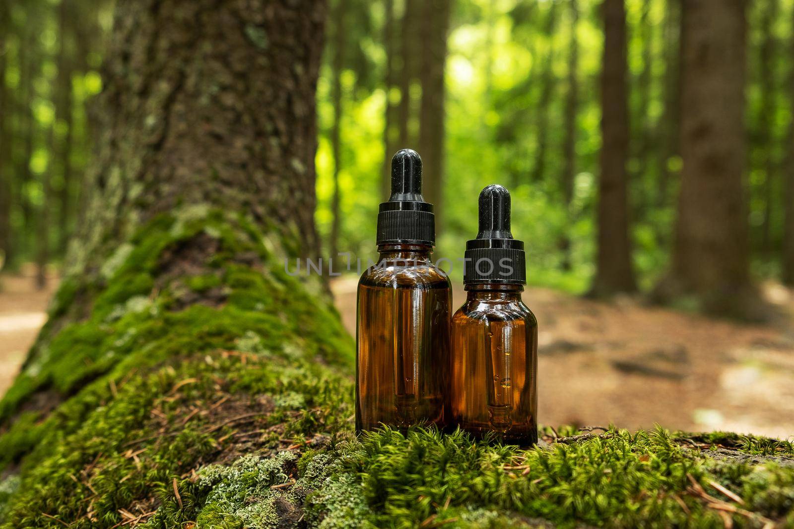 Two glass brown cosmetic containers with pipette are placed against backdrop of a natural forest. Concept of natural organic cosmetics, skin health. Selective focus..