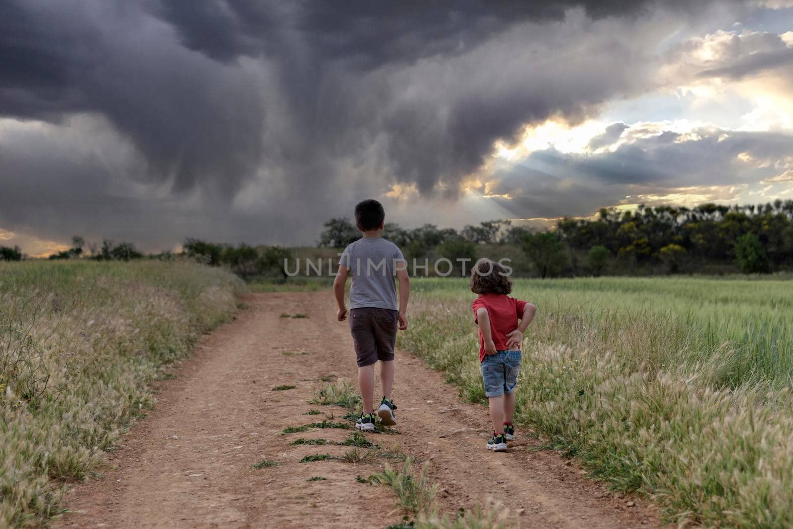 Two Caucasian boys walk through the field looking at a storm in the sky