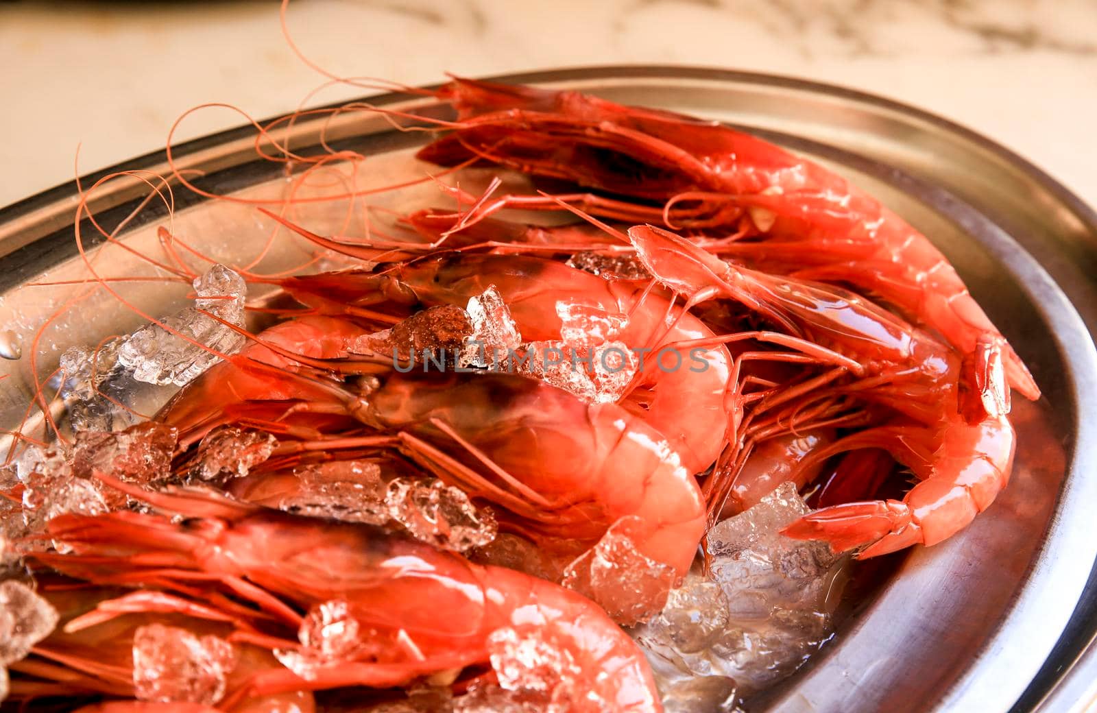 Fresh red prawn with ice on stainless steel tray