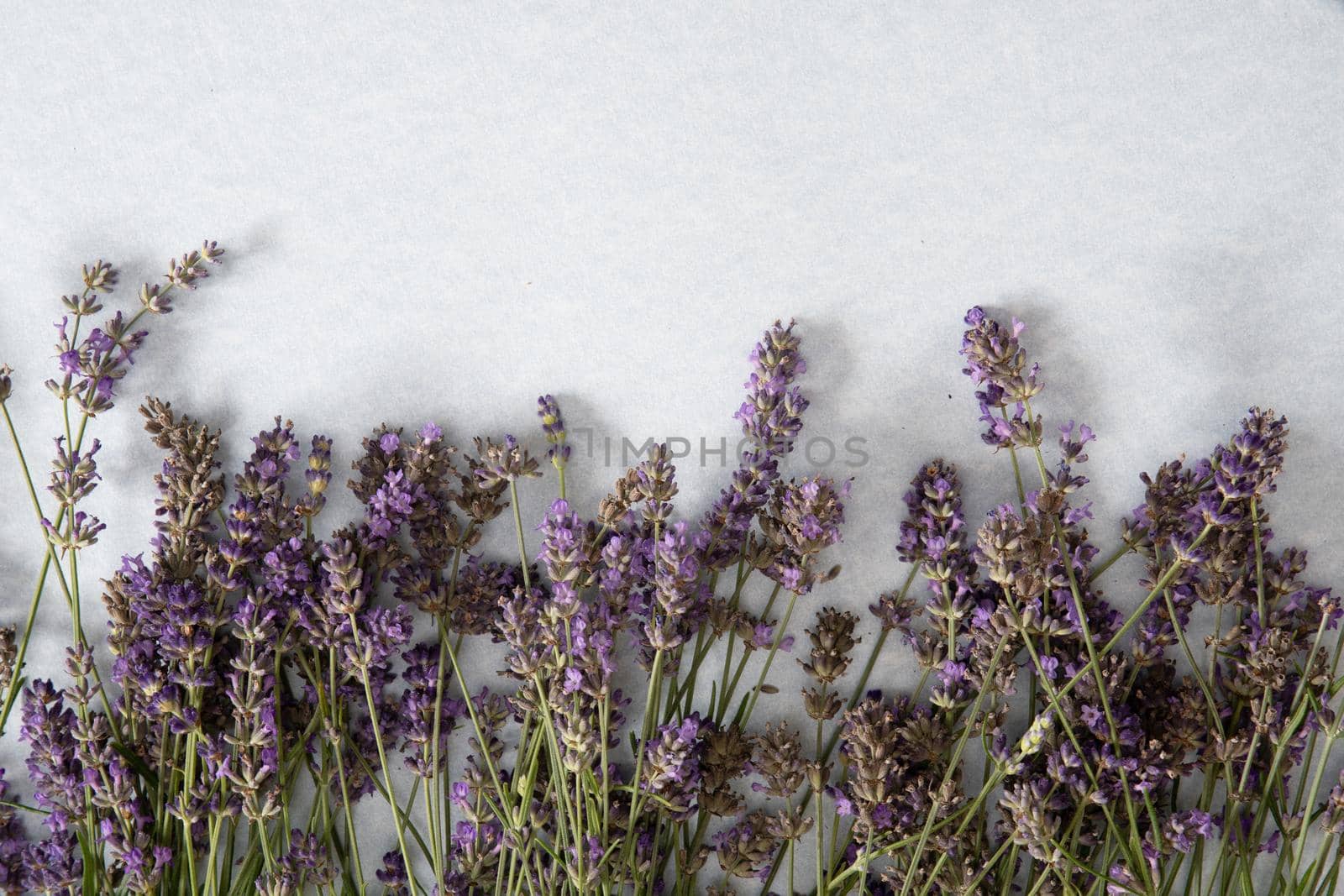lavender bouquet on light gray background, natural aromatherapy. High quality photo