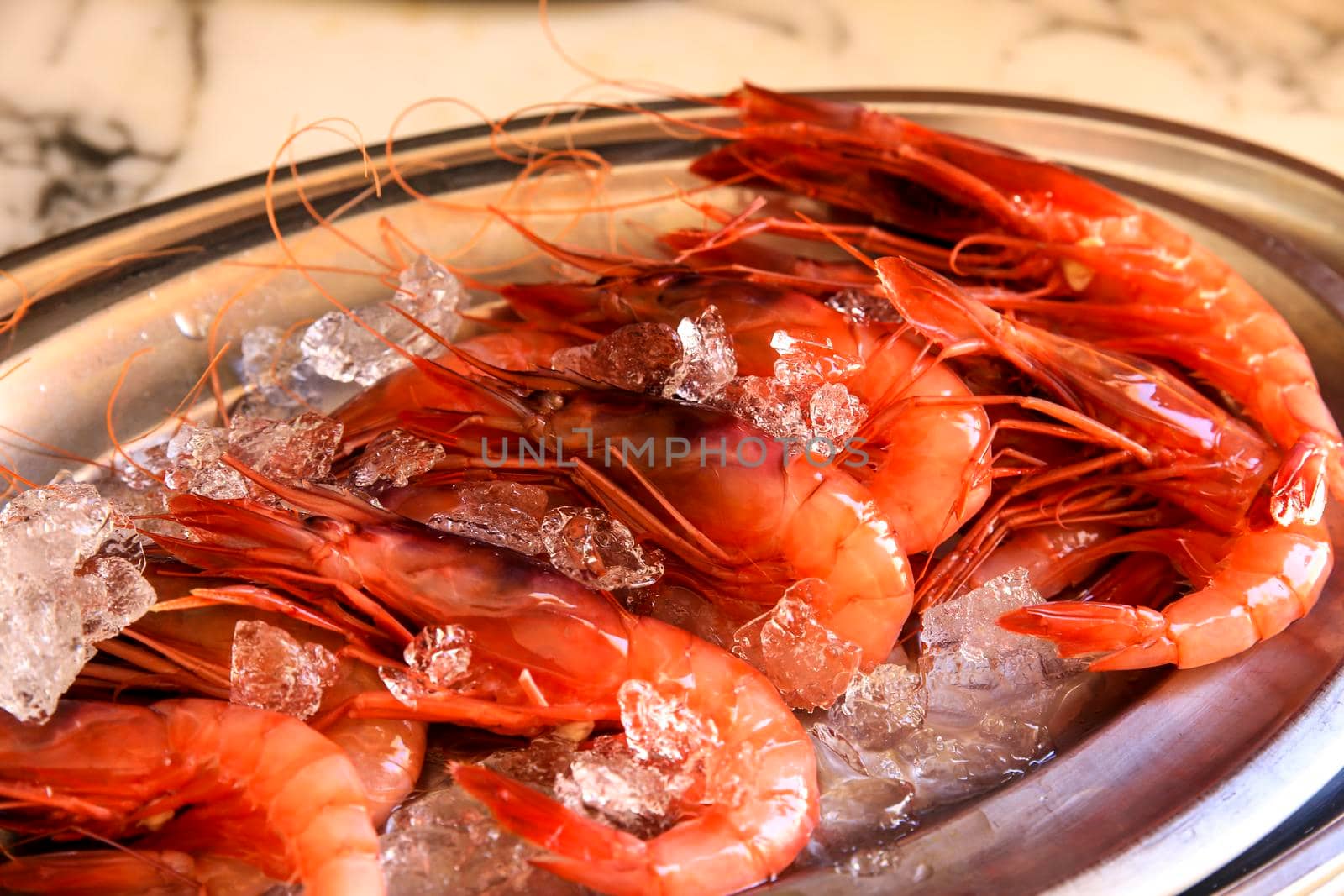 Fresh red prawn with ice on stainless steel tray