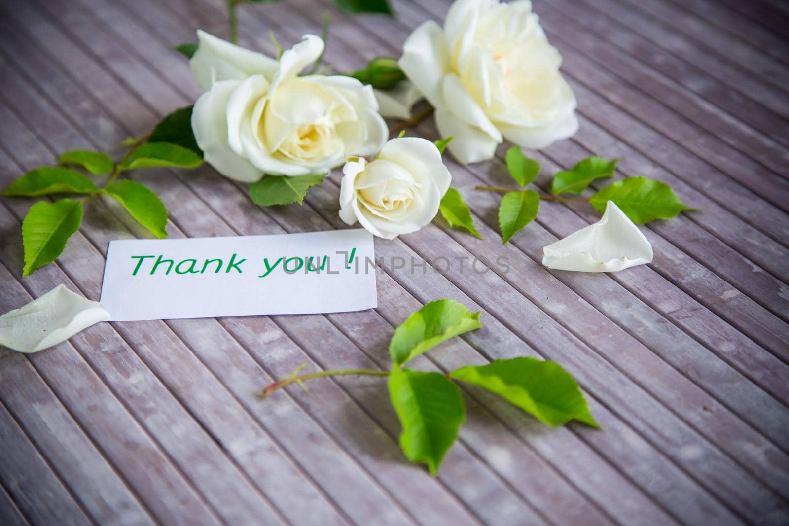 small bouquet of beautiful white summer roses, on a wooden table