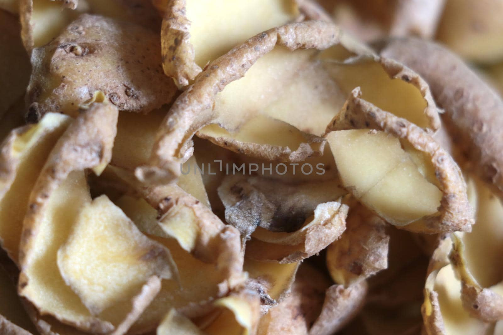 Potato peel. Cleaning food before cooking and eating. Potatoes are a type of perennial tuberous herbaceous plants. Potato tubers are an important food product. by kip02kas