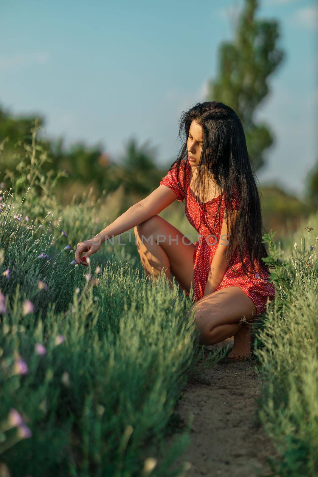 Sexy brunette girl in a red dress with polka dots posing in a meadow among wild herbs, flowers and trees on a summer sunny day