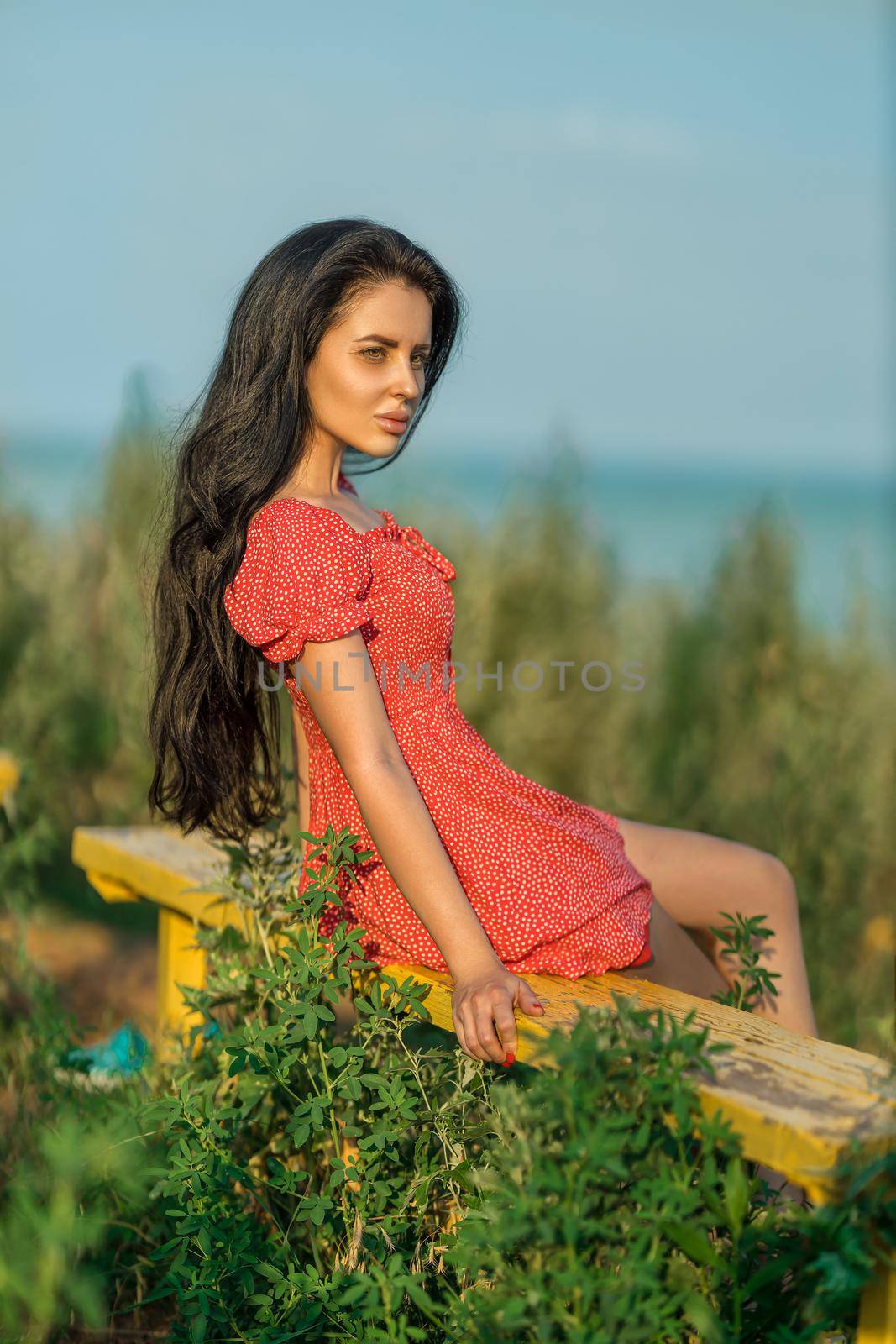 Brunette girl in a red dress with small polka dots on a bench in a meadow among wild herbs overlooking the sea