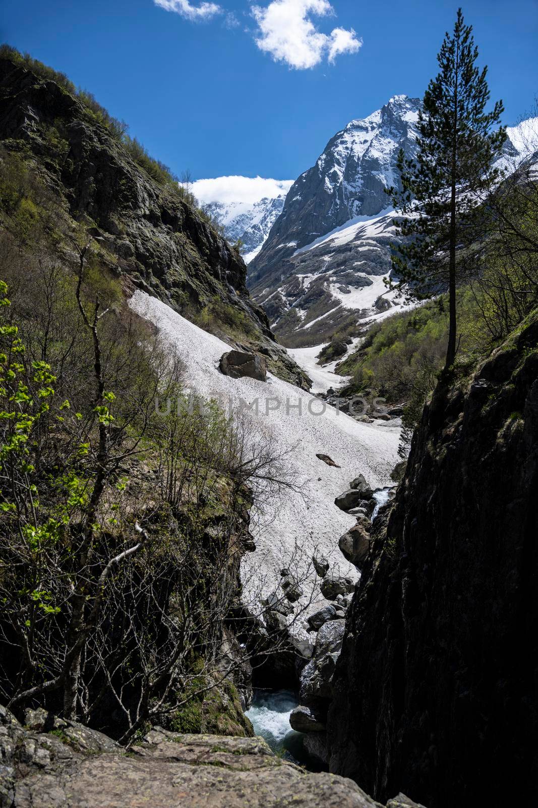 Caucasian mountains in Dombay in Russia in spring by butenkow