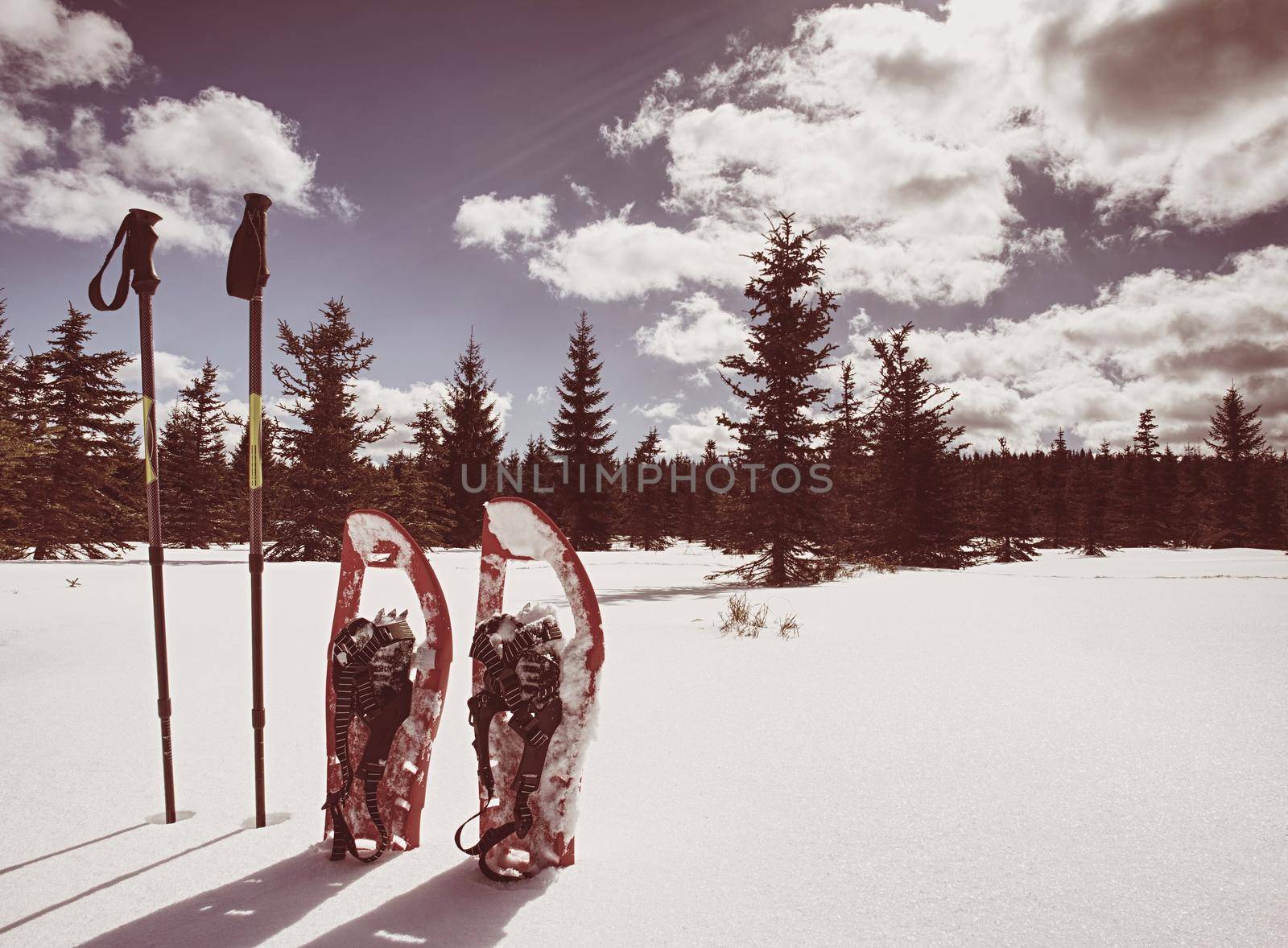 Winter equipment for trek:  snowshoes and trekking poles.  by rdonar2