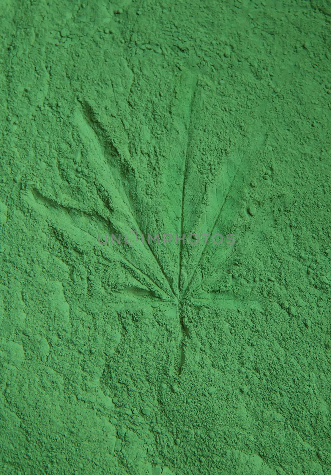 Leaves imprint on green powder. Natural cosmetic. Selective focus. Nature.