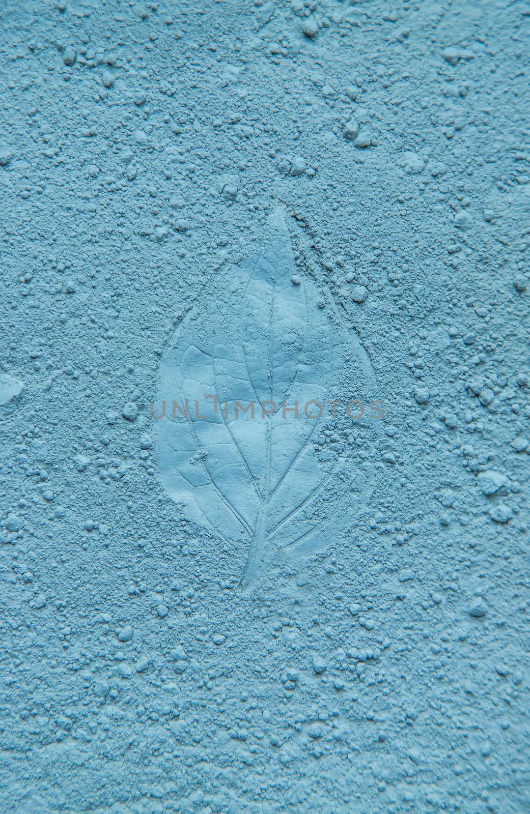 Leaves imprint on green powder. Natural cosmetic. Selective focus. by yanadjana