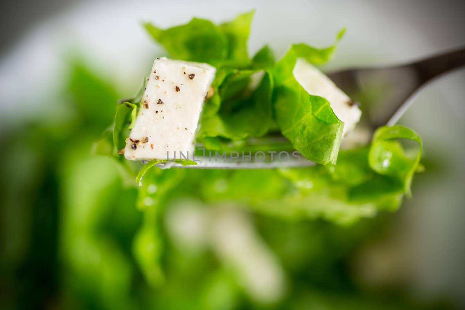fresh green lettuce salad with mozzarella and herbs on a fork, on a wooden table