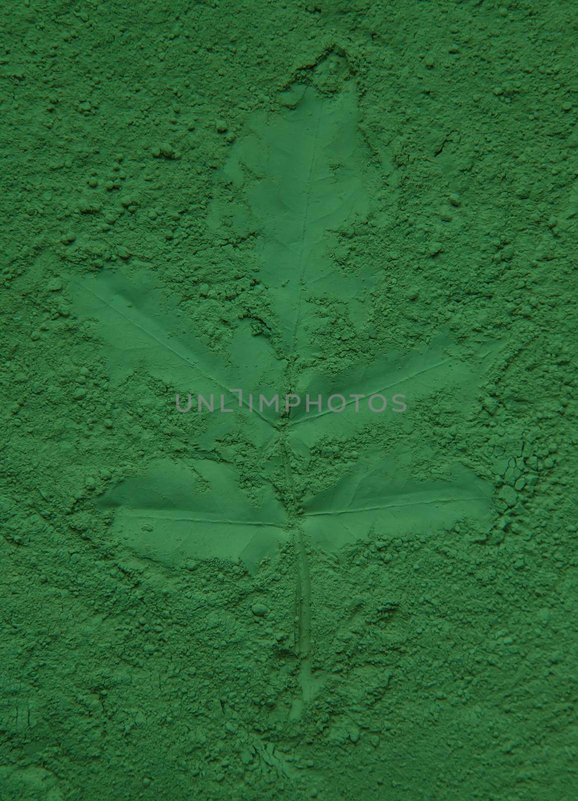Leaves imprint on green powder. Natural cosmetic. Selective focus. Nature.